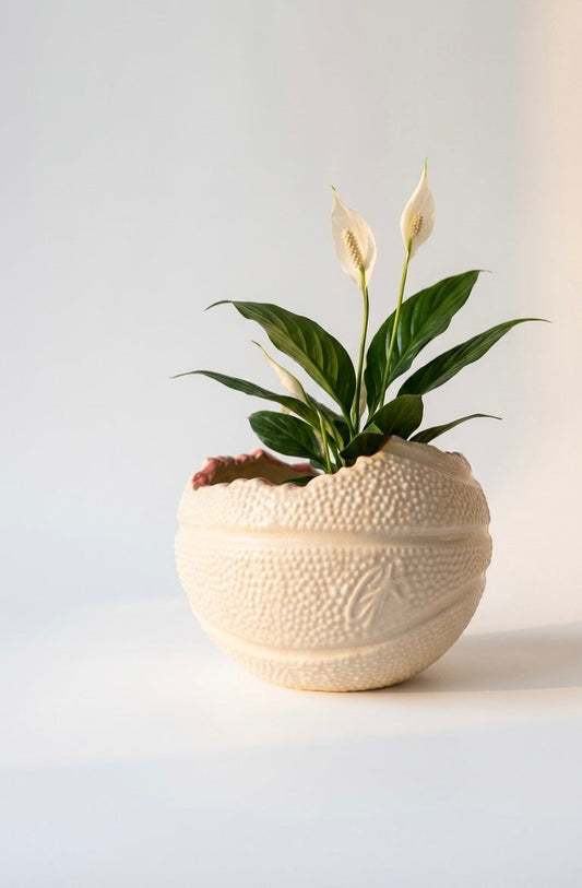 OFF COURT — Basketball Planter