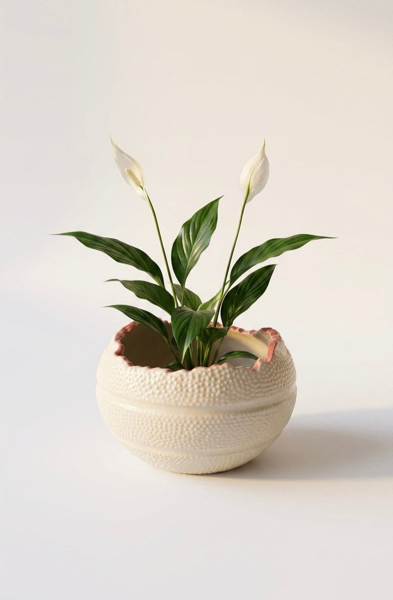 OFF COURT — Basketball Planter